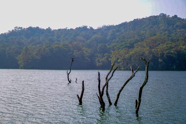 prince-mathews-v3eO3TSUU18-unsplash