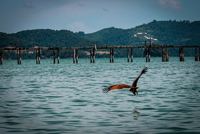 ramzi-bezzoudji-WeiERYmWIT4-unsplash