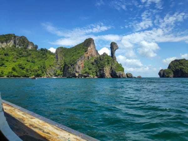 romi-kalathiya-aXofupoc7Y4-unsplash