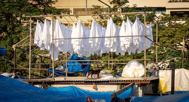 zoshua-colah-GJJvUNd4v08-unsplash