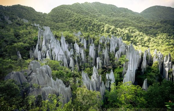 4D3N MULU CAVES + PINNACLES (MULU NATIONAL PARK CHALET) - SEAT IN COACH
