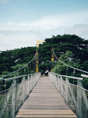 haydn-golden-BTrJsAAGbsY-unsplash