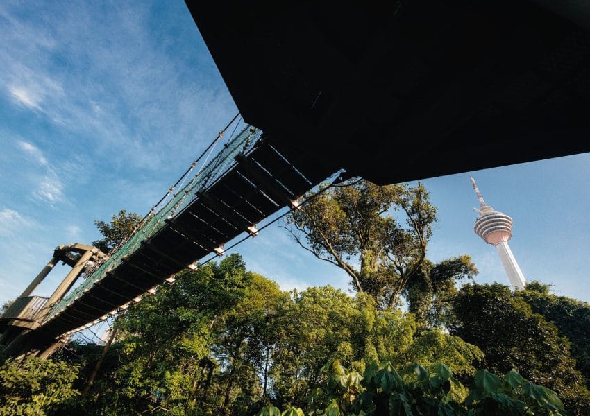 kl-forest-eco-park-canopywalk3