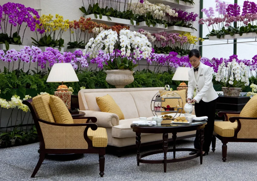 kulak-orchid-0024-hor-clsc