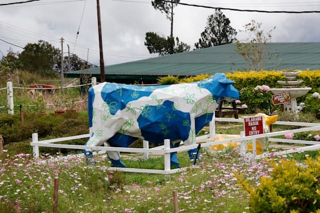 you-le-EXpgv9r1glA-unsplash