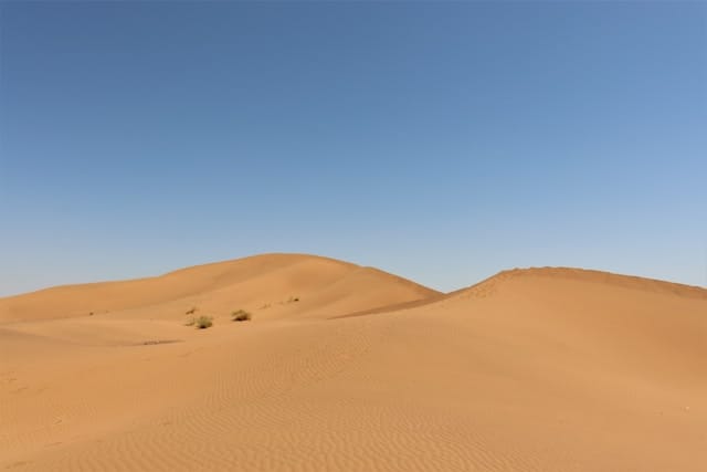 marius-zetzmann-yb38Gt1mQ1c-unsplash