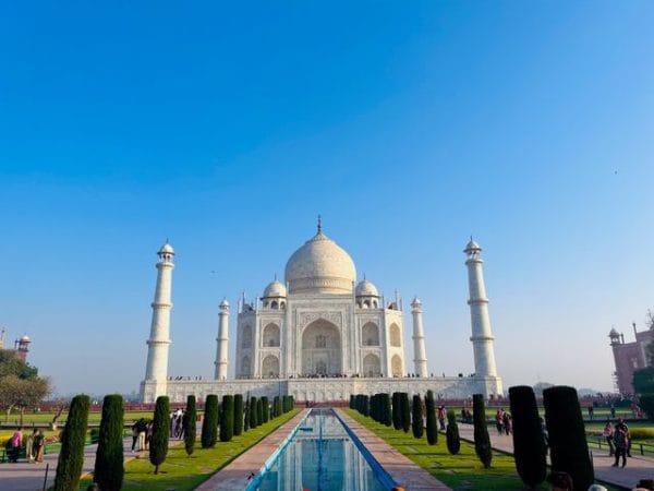 pexels-ayush-dwivedi-1217090-27374536