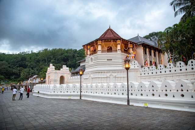 chathura-anuradha-subasinghe-40uQmE9Zq8g-unsplash
