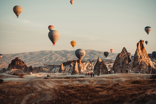 timur-garifov-p2RbLnqWPVY-unsplash